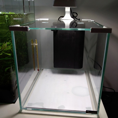 Nano Aquarium 20L complet lampe, pompe, filtre, chauffage - 2 disponibles