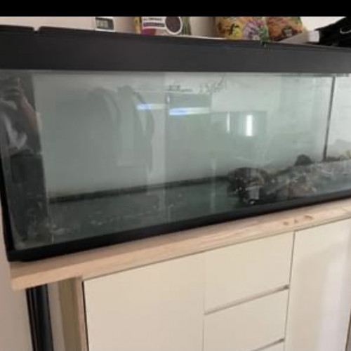 Aquarium 300L