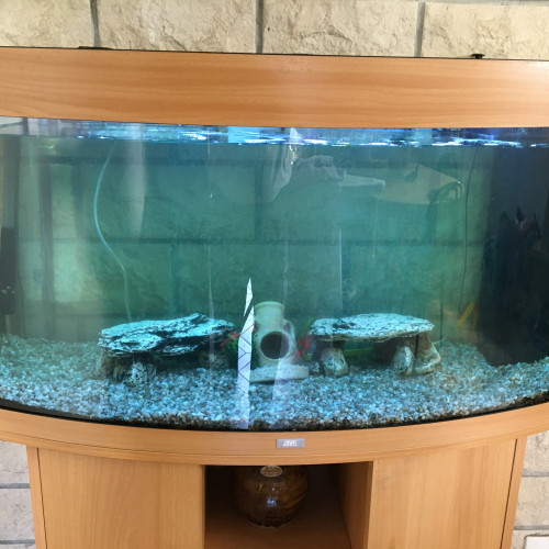 Aquarium Juwel Vision 180 litres avec son meuble et tous ses accessoires