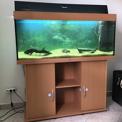 Aquarium juwel Rio 240l +meuble