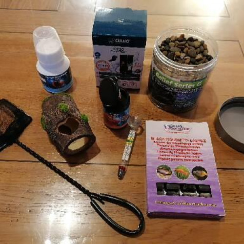 Kit aquarium betta splendens combattant