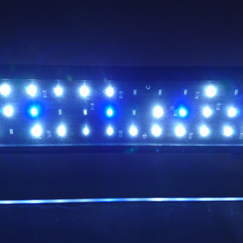 Rampe LED 60-80cm blanc/bleu