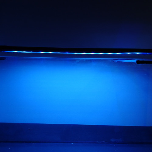 Rampe LED 60-80cm blanc/bleu