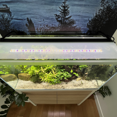 Aquarium complet avec meuble de 130 litres