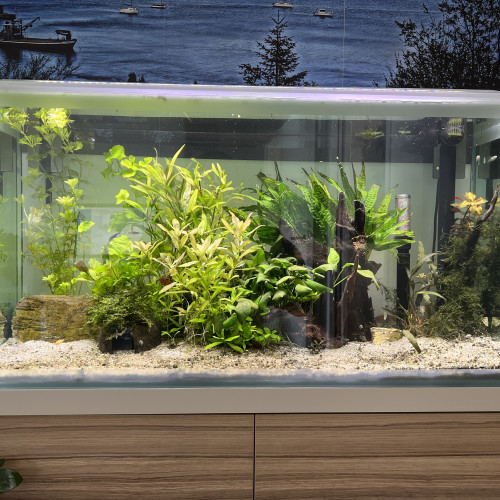 Aquarium complet avec meuble de 130 litres