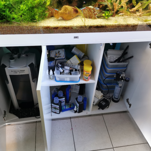Aquarium complet JUWEl rio 300 de 350 litres avec plantes et poissons