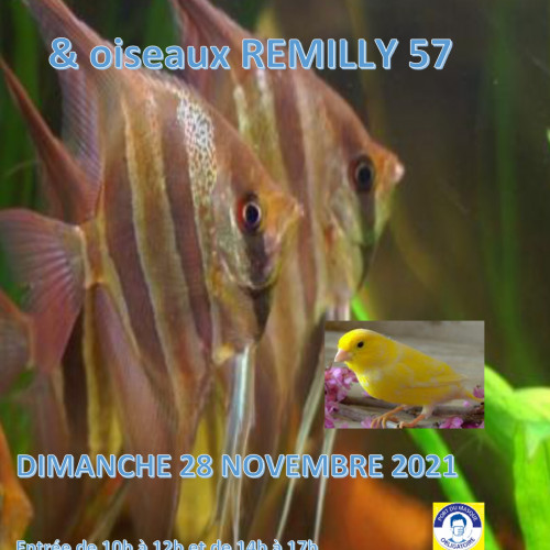 BOURSE AUX POISSONS REMILLY DIMANCHE 28 NOVEMBRE 2021