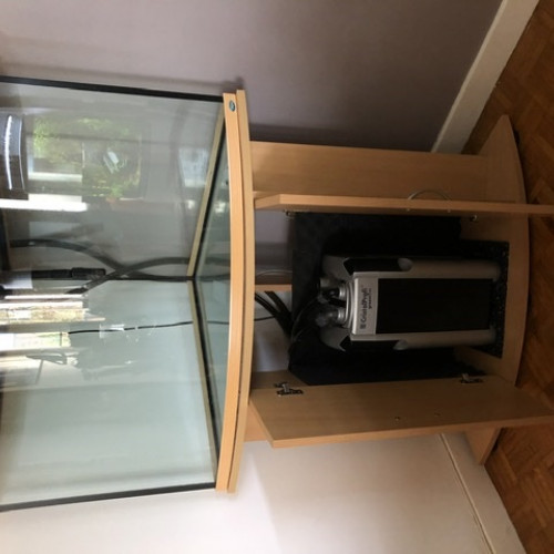 Vends aquarium d’angle 200litres
