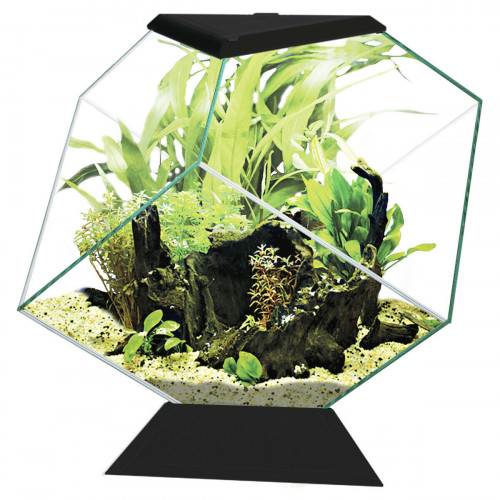 CIANO Aquarium forme diamant Nexus DIAMOND 14L Noir + filtre interne 14 LITRES NEUF