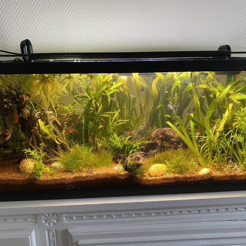 Rampe fluval  plante 3.0 Bluetooth