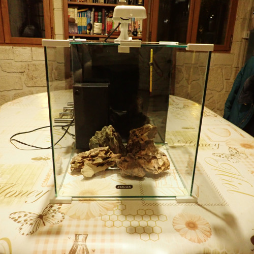 vend nano aquarium  50 litres