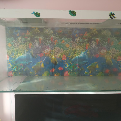 2 Aquarium 260  couleurs blancl  et  120l couleur noi