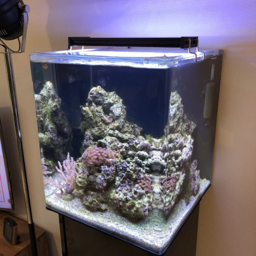 Aquarium DENNERLE eau de mer complet