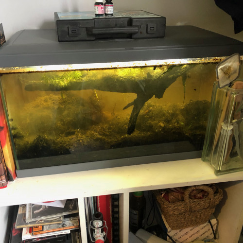 Aquarium 50L