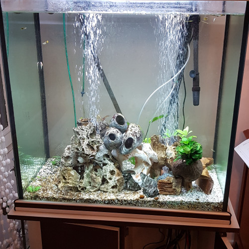 Aquarium 320 litres