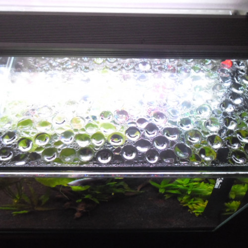 AQUARIUM de QUALITE  en verre collé  de 40X23X26h cm = 24 litres + couvercle vitré