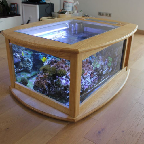 Table basse aquarium