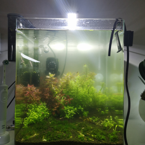 Lampe chihiros c-301 dimmable + télécommande