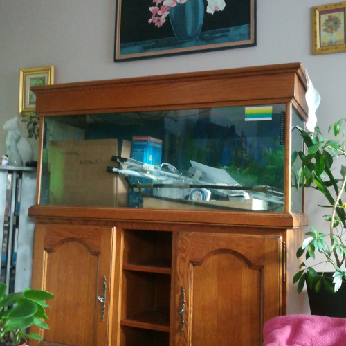 Aquarium complet