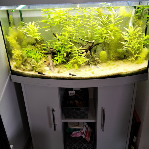 AQUARIUM juwel vision 180