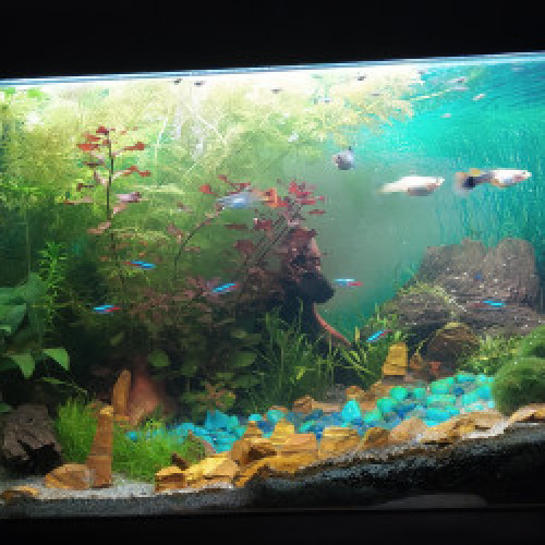 Ciano 80 LED
