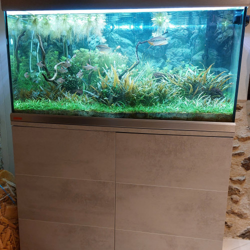 Aquarium 250 litres et 160 litres