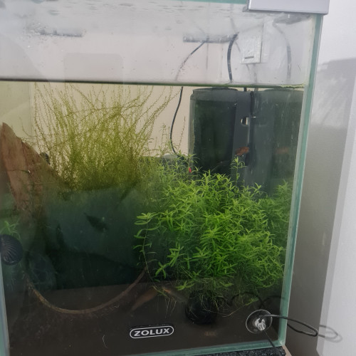 Acheter aquarium nano 20l zolux