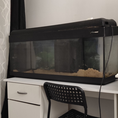 Aquarium 120l