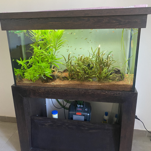 Vends aquarium SOFT + support étagère