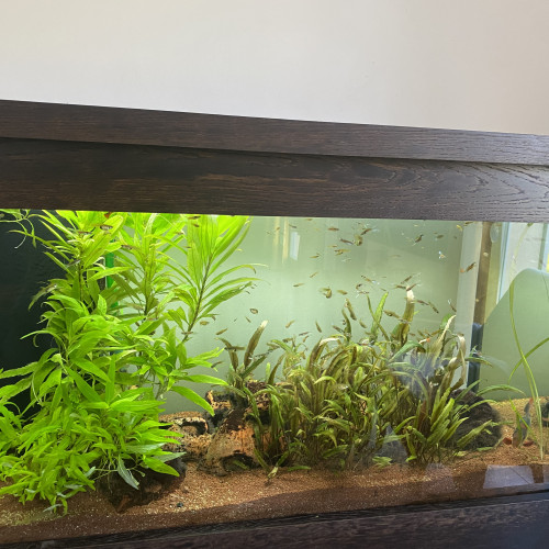 Vends aquarium SOFT + support étagère