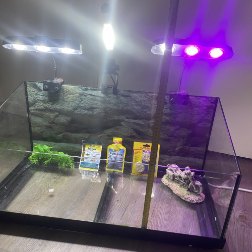 Aquaterrarium équipé tortue ReptoAquaSet - Tetra