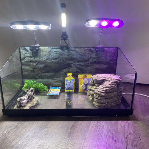 Aquaterrarium équipé tortue ReptoAquaSet - Tetra