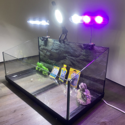 Aquaterrarium équipé tortue ReptoAquaSet - Tetra