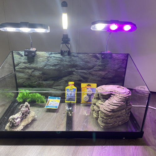 Aquaterrarium équipé tortue ReptoAquaSet - Tetra