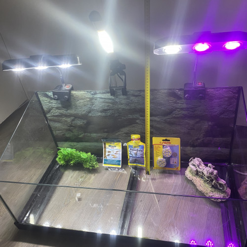 Aquaterrarium équipé tortue ReptoAquaSet - Tetra