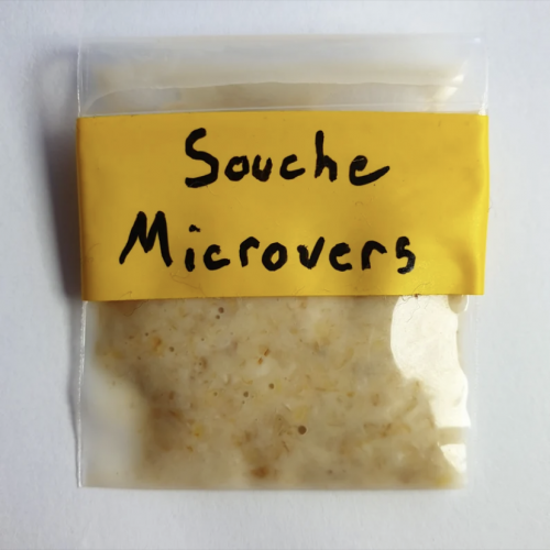 Souche de Microvers