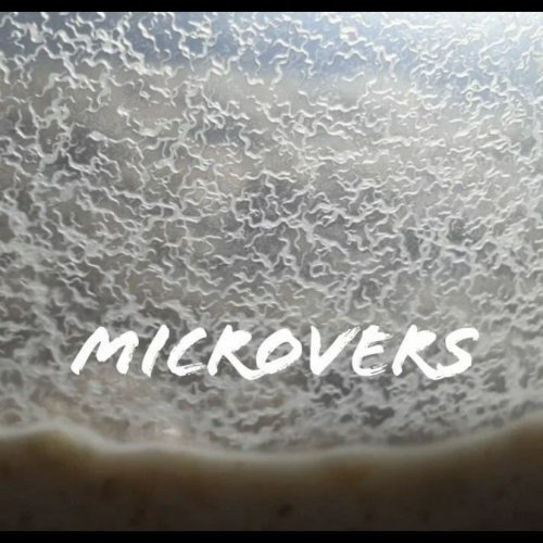 Souche de Microvers