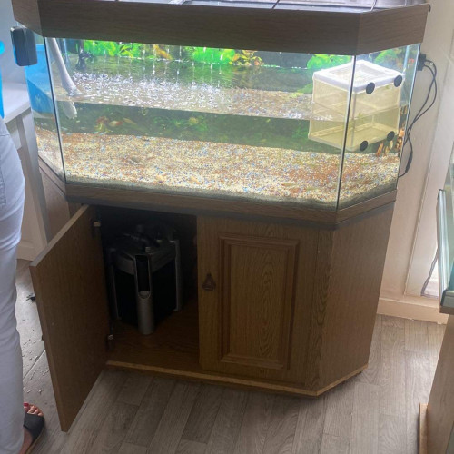 Aquarium avec meuble 200 litre et 100 litre