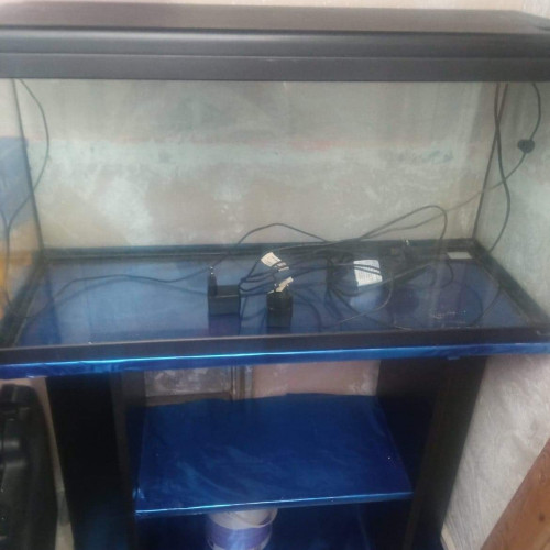 Aquarium avec meuble 200 litre et 100 litre