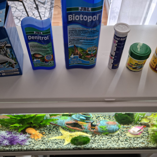 Aquarium complet bien entretenu avec plusieurs poissons