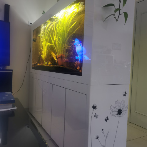 Vend aquarium complet