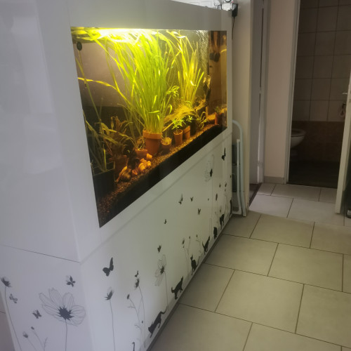 Vend aquarium complet