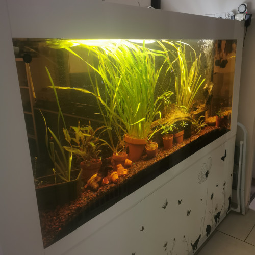 Vend aquarium complet