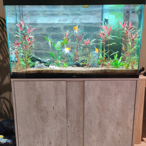 Aquarium 206l + meuble