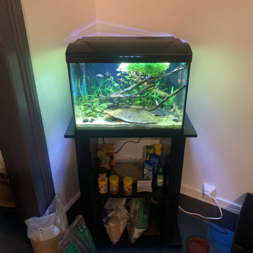 Aquarium 54 litres avec meuble