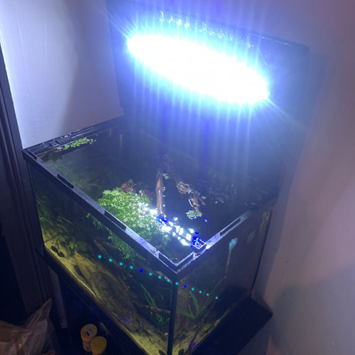 Aquarium 54 litres avec meuble