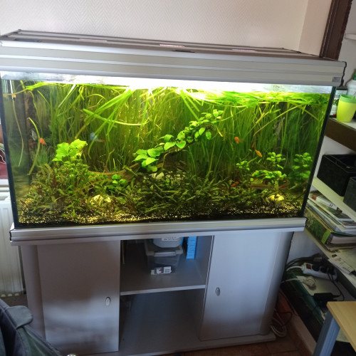 Aquarium aquatlantis 400 litres avec tous le matériel,plantes et poissons