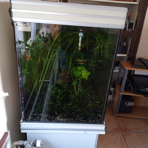 Aquarium aquatlantis 400 litres avec tous le matériel,plantes et poissons