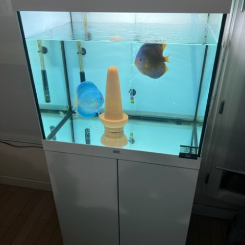 Aquarium Juwel Lido 120  + meuble + filtre externe