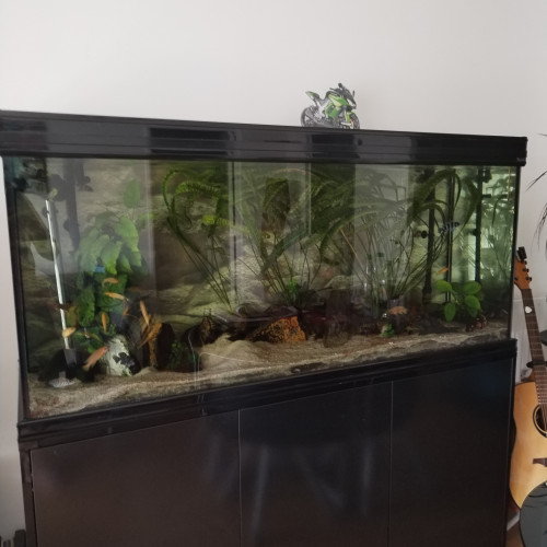 Aquarium à vendre